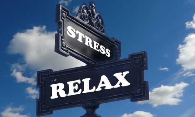 „Stress und gesundheitliche Probleme hängen zusammen!“