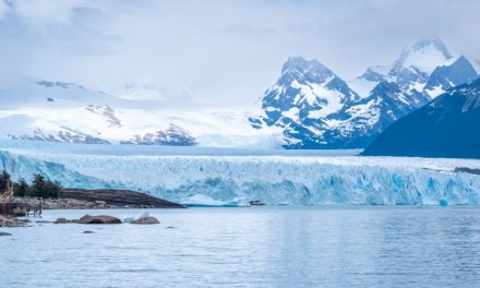 Bildergalerie: Gletscher in Südamerika