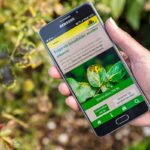 Unerlässlich für Pflanzenfreunde: Pflanzendoktor-App mit automatischer Schadbilderkennung