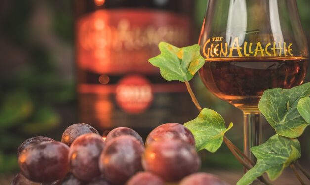 Whisky für Weinfans: Die faszinierende Verbindung zwischen Whisky und ehemaligen Weinfässern