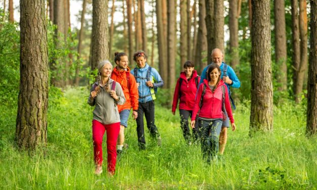 Wikinger-Wandertreffs am Wochenende: für zwischendurch, für Einsteiger, zum Ausprobieren