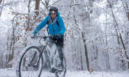 E-Bike im Winter: So lassen sich Akku-Schäden vermeiden