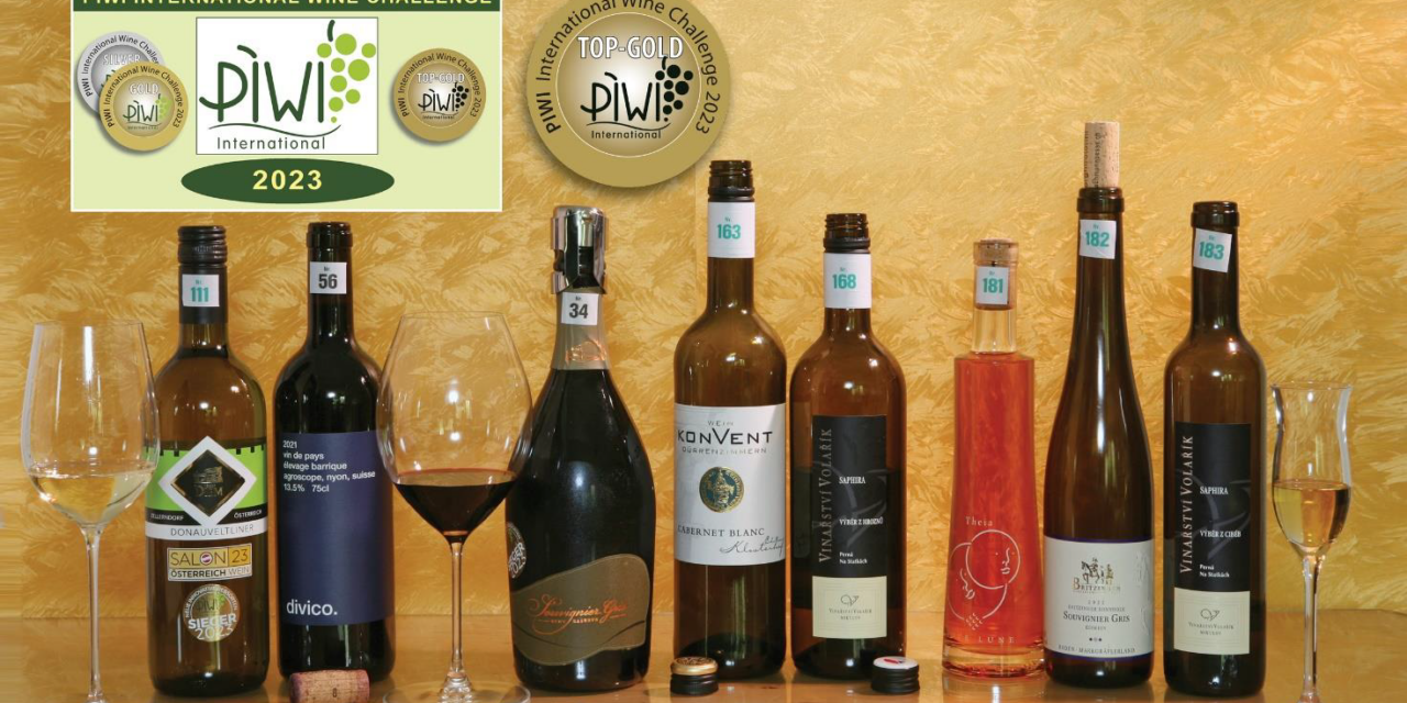 Großartige Weine aus PIWI-Rebsorten – 8 TOP GOLD Weine