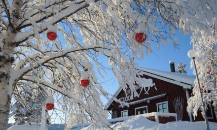 Wintersport-Mix im schneesicheren Skandinavien
