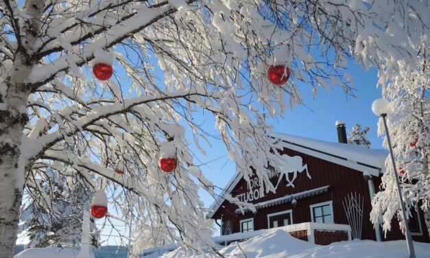 Wintersport-Mix im schneesicheren Skandinavien