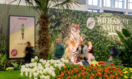 Grüne Woche 2024 verwandelt Blumenhalle in „City of colours”