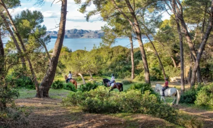 Mallorcas Naturlandschaft auf dem Rücken der Pferde entdecken