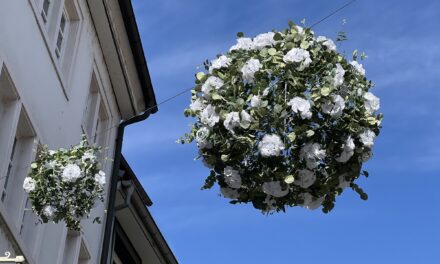 Farbenfrohe Stadtdekoration: Die Konstanzer Blumenbälle sind zurück