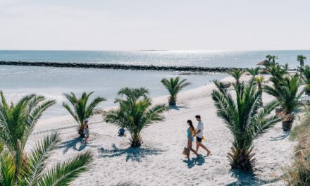 Dänemarks einziger Palmenstrand öffnet zur Saison