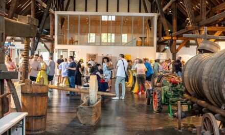 Fußballfieber im Weinbaumuseum