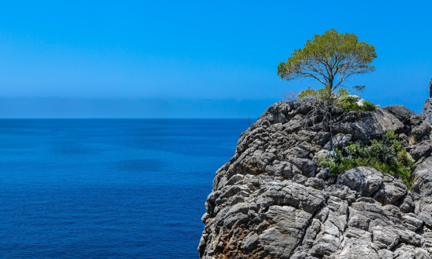 Verbinden Sie sich mit Natur und Sport auf Mallorca