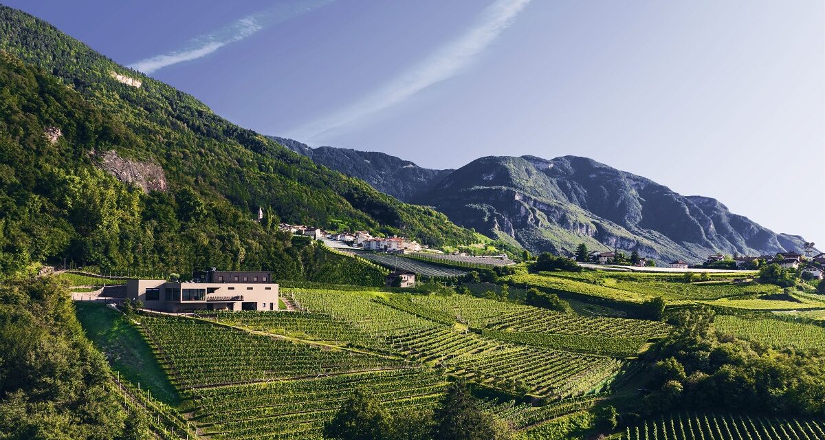 Genussreise in die Weinberge