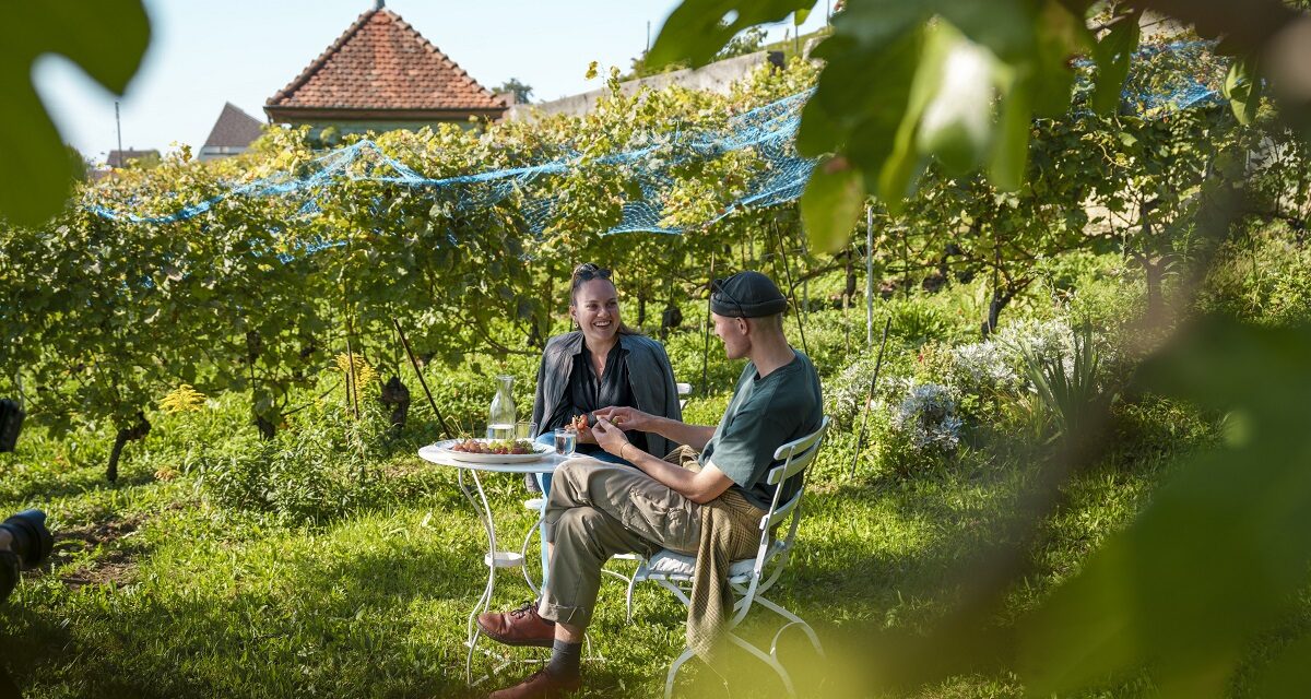 Grape Escapes: Auszeit in den Schweizer Weinregionen