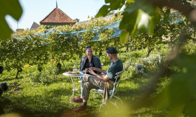 Grape Escapes: Auszeit in den Schweizer Weinregionen