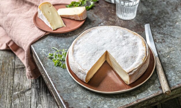 Käse trifft Sport: Drei europäische Käsesorten für einen sportlichen Sommer!