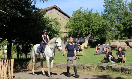 Urlaub auf dem Bauernhof besonders bei Familien beliebt