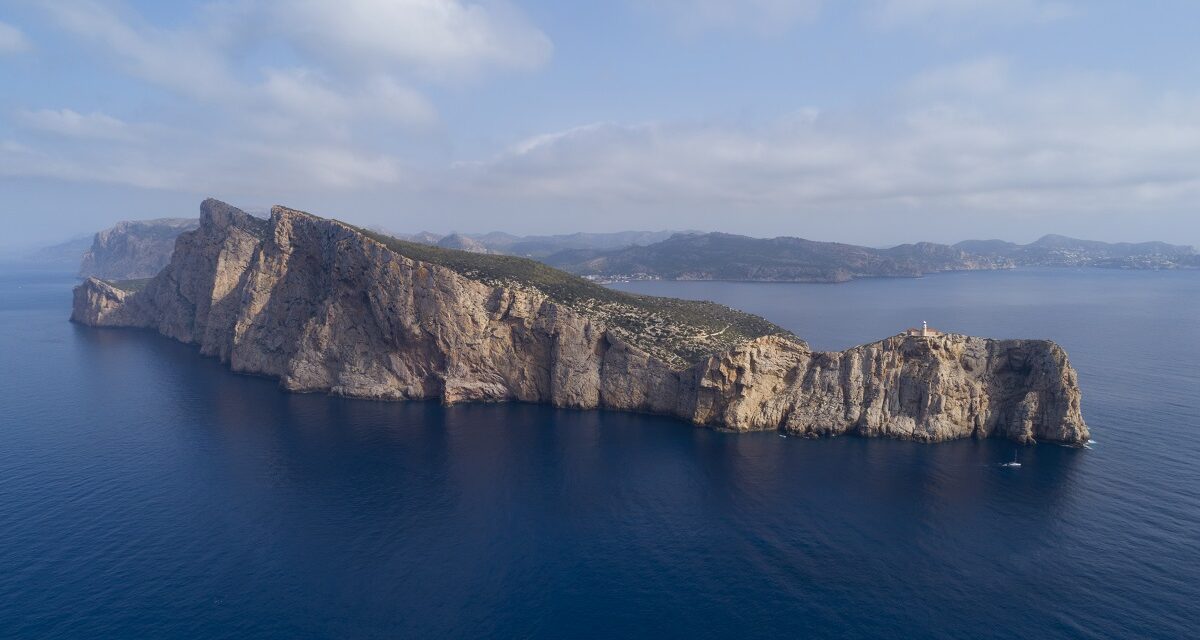 Mallorca pulsiert mit den Jahreszeiten und dem Reichtum an Flora & Fauna