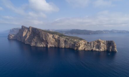 Mallorca pulsiert mit den Jahreszeiten und dem Reichtum an Flora & Fauna