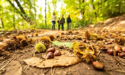 Kastanienherbst an der Südlichen Weinstraße