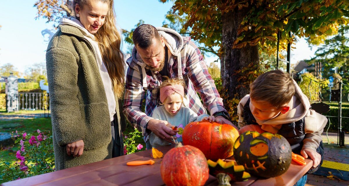 Halloween im Wasserschloss und Pinguin-Workshop im Ozeaneum: Herbstferien in Mecklenburg-Vorpommern