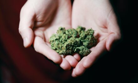 Cannabisanbau – welche Nährstoffe eine Rolle spielen