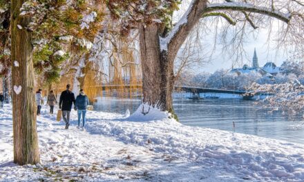 Valentinstag in Konstanz